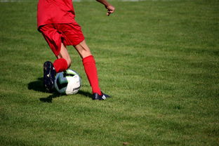 九游娱乐网站体验棒-NBA球队青训体系建设与人才储备，nba青年队