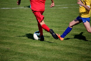 九游娱乐(jiuyou)官网-世界台球联赛中国队勇夺团体亚军，世界台球联赛中国队勇夺团体亚军是谁